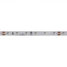 Dainolite DLT-48AM - DLT-48AM
