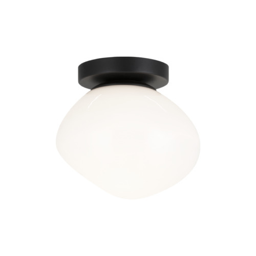 Melotte Black Wall Sconce / Ceiling Mount
