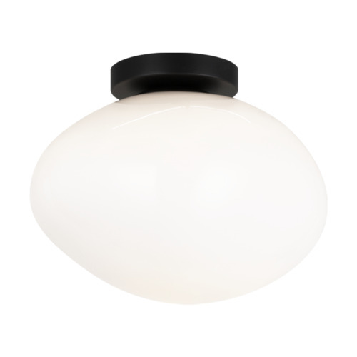 Melotte Black Wall Sconce / Ceiling Mount