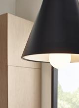 TL_Joni_Pend_B_APP1DET1_700TDJNIB-LED930.jpg