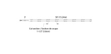 2d-cobtp24v-r50ft-cc-01.jpg
